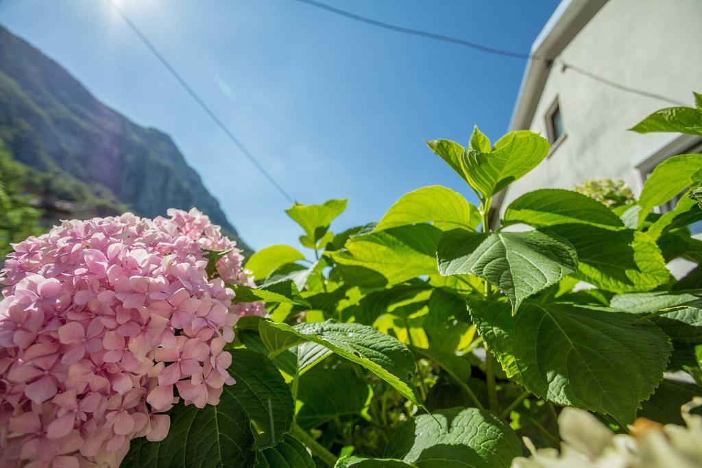 Farm Stay Ferjancic วิพาวา ภายนอก รูปภาพ